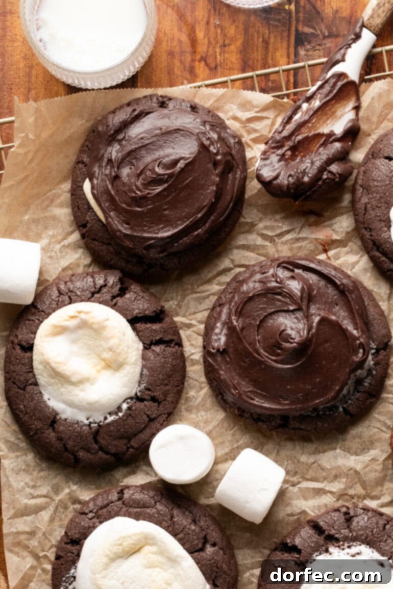 A collection of delectable chocolate marshmallow cookies, some generously coated with rich chocolate frosting, while others display their perfectly melted, golden-brown marshmallow tops, inviting a choice of indulgence.