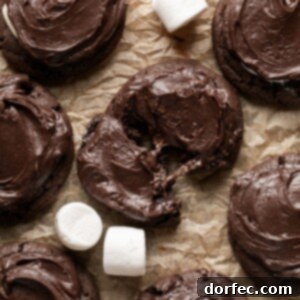 An appealing photograph of a finished chocolate marshmallow cookie, richly frosted and ready to be enjoyed, representing the final delicious outcome of the recipe.