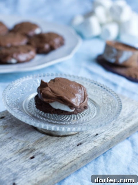 A vibrant, close-up photo of several chocolate marshmallow cookies arranged beautifully, tempting viewers with their rich frosting and chewy texture, inviting indulgence.