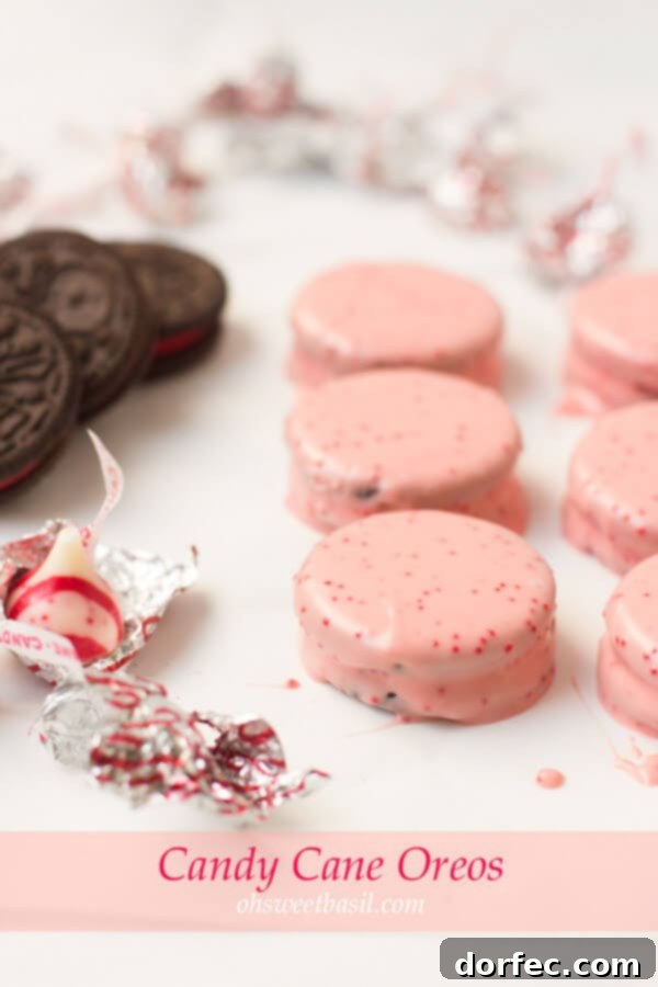 Simple Candy Cane Oreo Holiday Treats for Kids Easy no-bake candy cane dipped Oreos, a simple, festive, and fun holiday treat that kids can easily make.