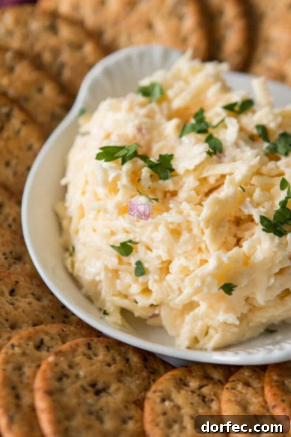 Creamy Jarlsberg cheese dip served with a variety of crispy crackers on a white platter, perfect for an easy party appetizer.