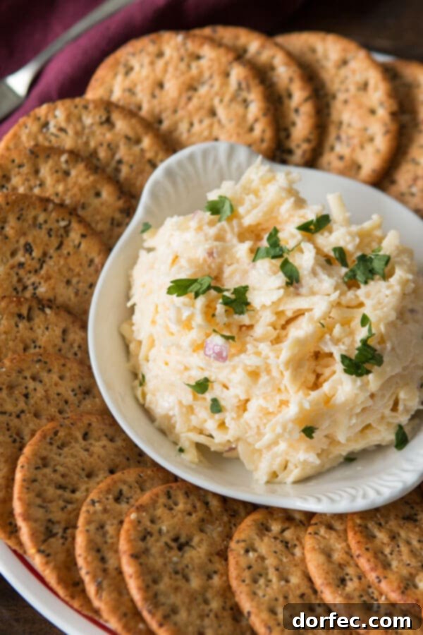 Close-up of a bowl of creamy Jarlsberg cheese dip, garnished with a sprinkle of red onion, ready to be served with crackers.