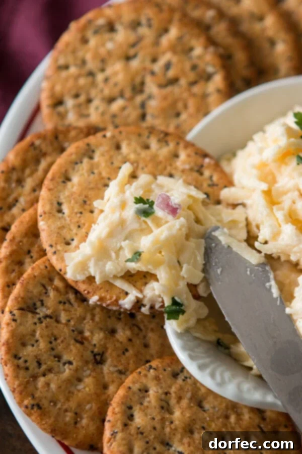 A serving of Jarlsberg cheese dip in a white bowl, surrounded by a variety of golden crackers, ready for a gathering.