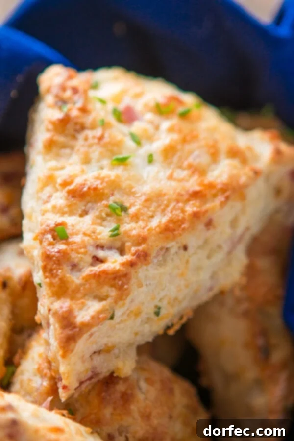 A close-up view of a perfectly baked, wedge-shaped ham and cheese scone, showing its golden crust.