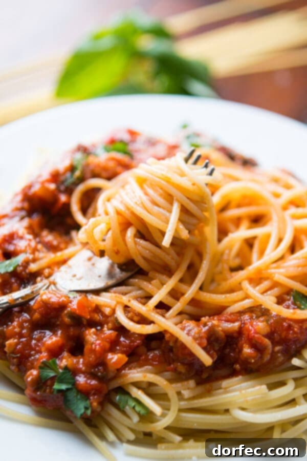 homemade pasta sauce on plate with spaghetti
