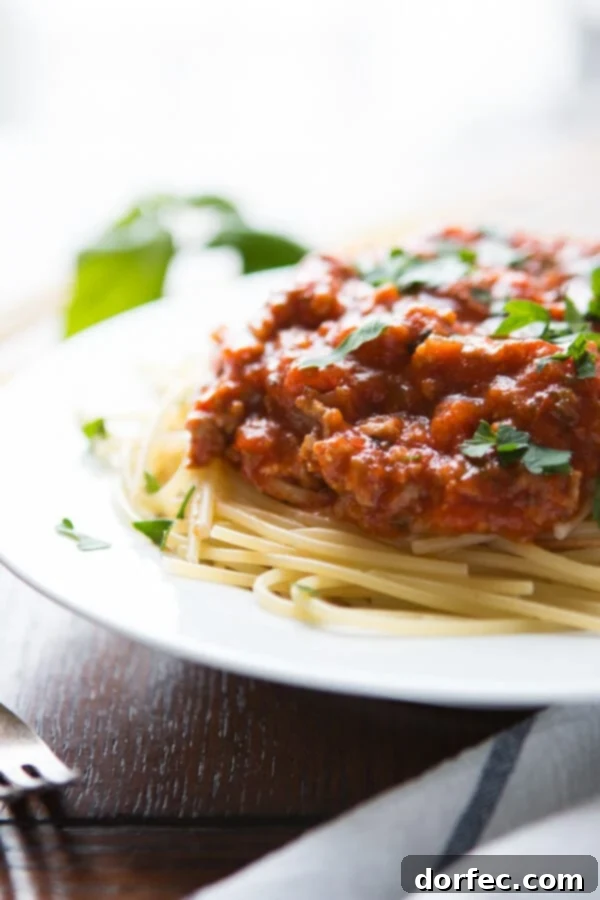 a photo of a white dinner plate topped with cooked spaghetti with homemade spaghetti sauce on top