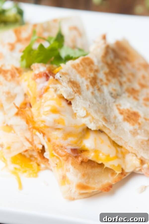 Mango chicken bacon quesadilla ohsweetbasil.com