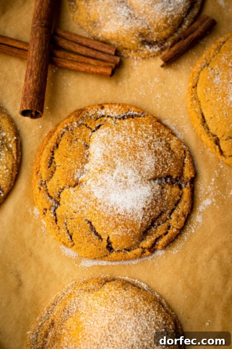 A close-up photo of a soft and chewy molasses cookie, generously topped with sugar and showcasing its signature crinkled surface.
