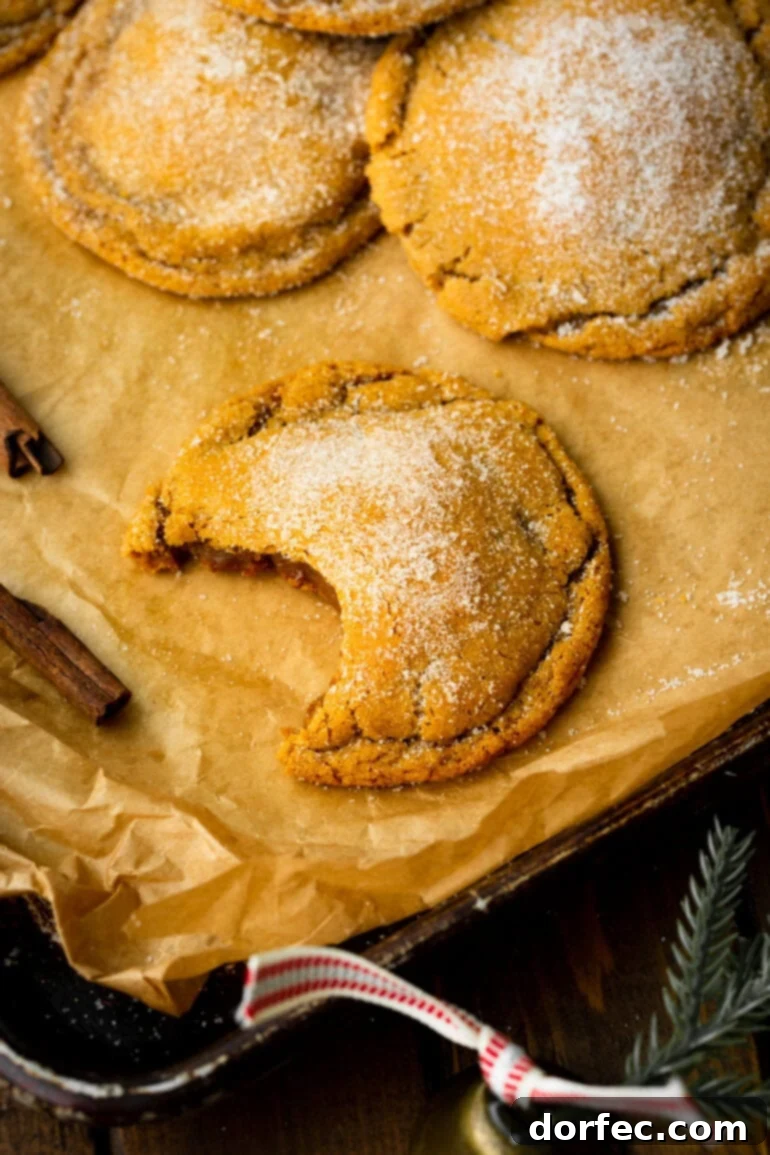 A mouth-watering photograph of a thick, chewy molasses cookie with a bite taken out, revealing its soft, perfectly baked interior.