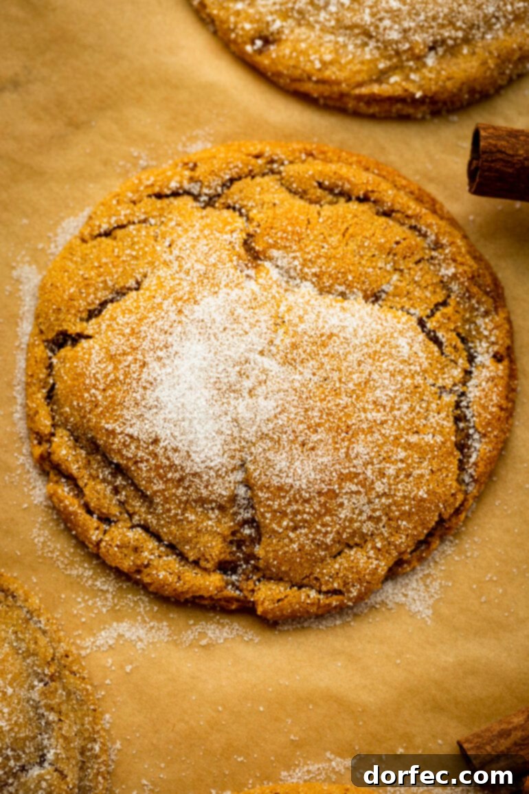 An overhead shot of a large, thick, and wonderfully chewy molasses cookie, generously coated with sugar and displaying its iconic crinkled pattern.