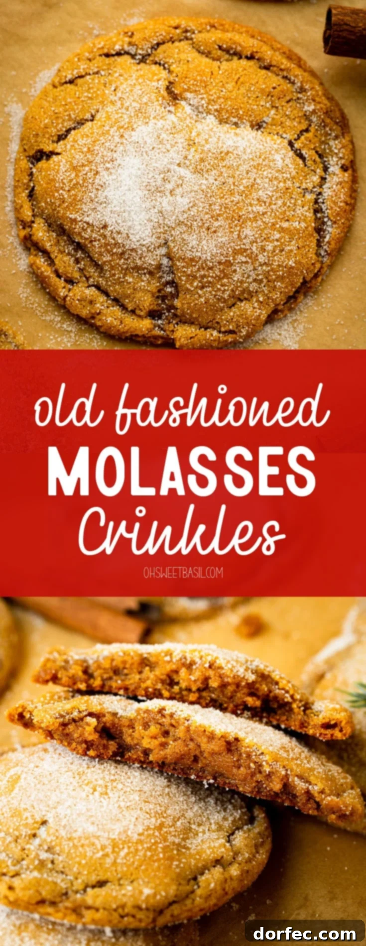 A photo of a stack of chewy molasses cookies with two broken in half and sitting on their sides so you can see the middle