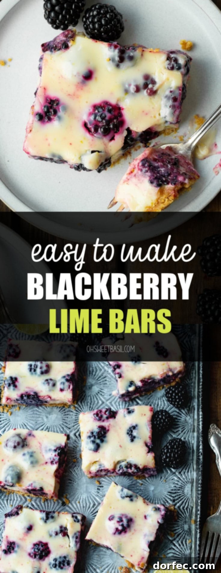 Effortless Blackberry Lime Bars 12 A vibrant close-up of a blackberry lime bar, revealing its inviting layers of crunchy graham cracker crust, smooth lime filling, and juicy whole blackberries.