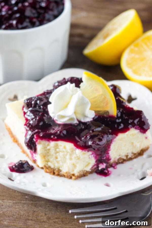 Freshly Baked Lemon Blueberry Cheesecake Bars Top-down shot of a tray of freshly baked lemon blueberry cheesecake squares