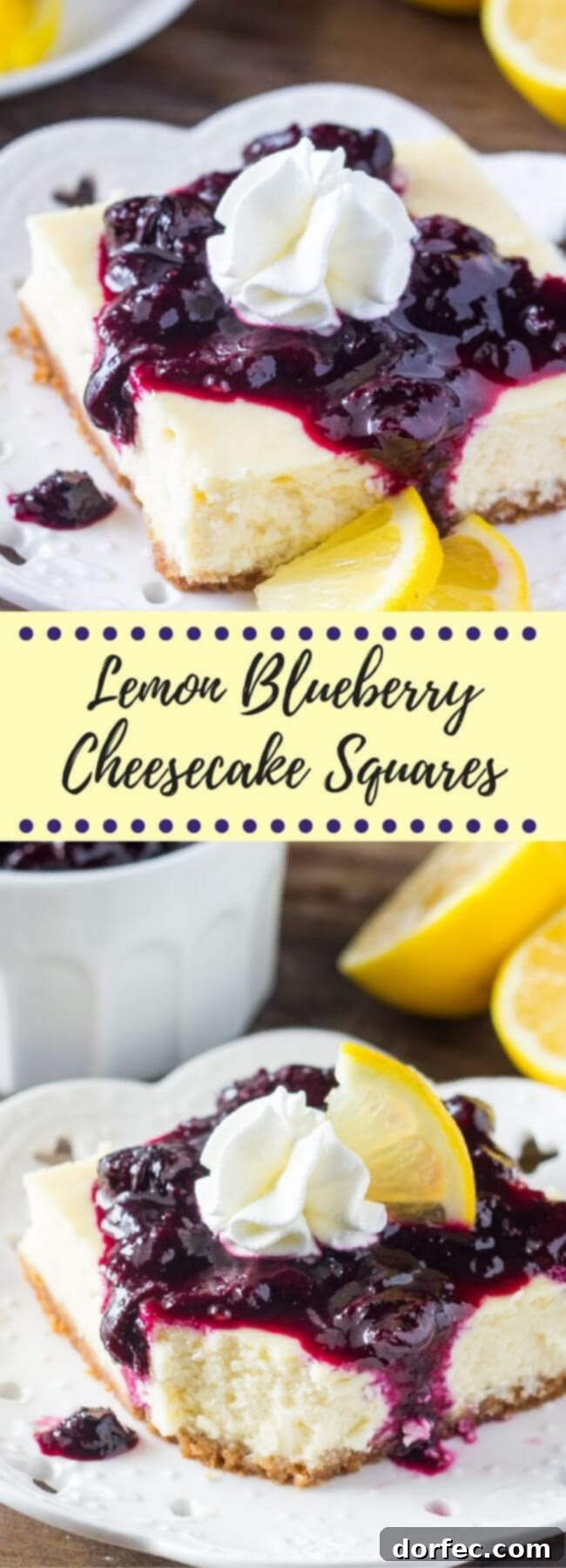 A beautifully arranged platter of lemon blueberry cheesecake squares