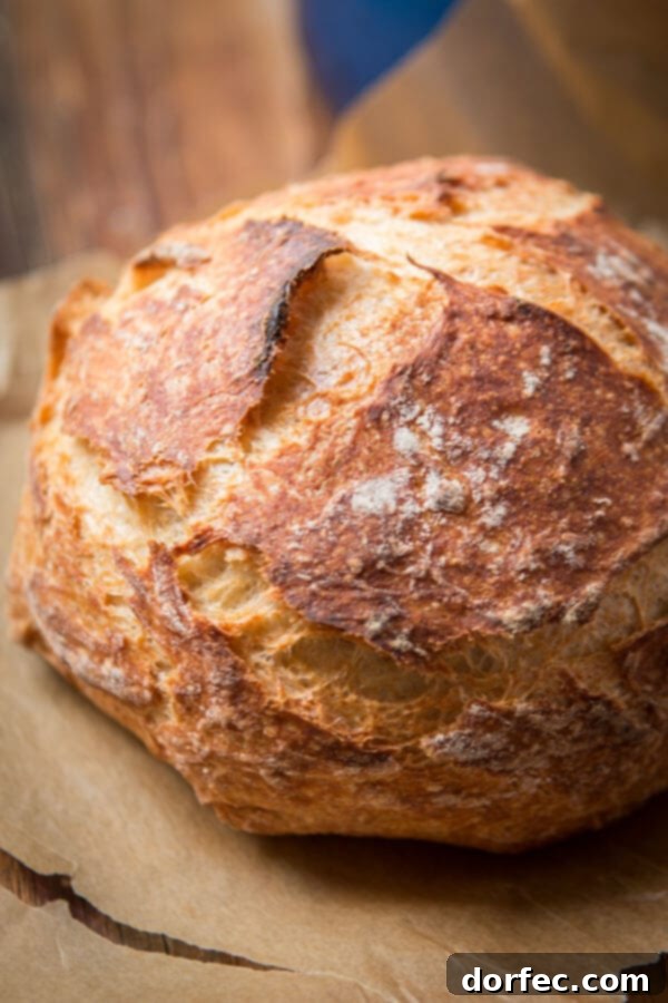 A perfectly baked loaf of No-Knead Artisan Bread cooling on a rustic wood cutting board, showcasing its golden-brown crust.