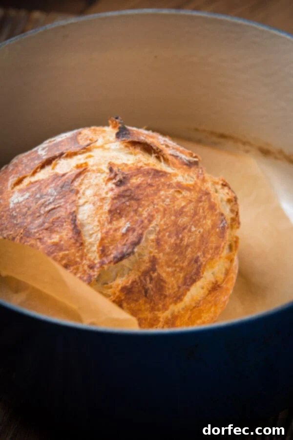 A rustic loaf of No-Knead Artisan Bread baked to perfection, resting inside a vibrant blue Dutch oven, showcasing its golden crust and pillowy texture.