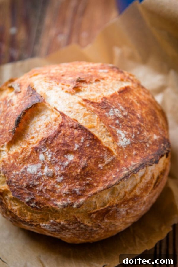 A beautifully textured loaf of No-Knead Artisan Bread resting on a piece of parchment paper after baking, ready for cooling.