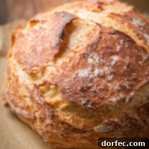How do you make an Easy No Knead Artisan Bread and have it turn out just like the local bakery? It all starts a day ahead, but don't worry, it's so simple. ohsweetbasil.com