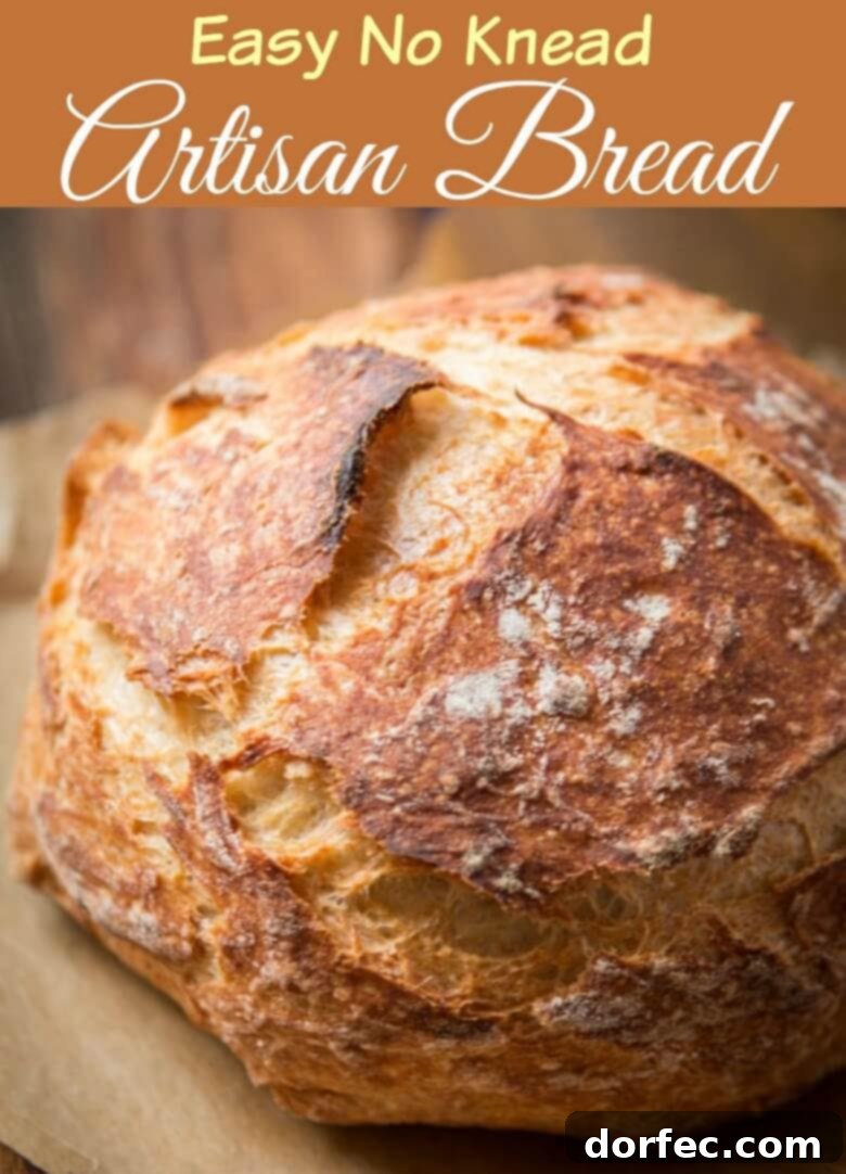 A freshly baked, golden-crusted Easy No Knead Artisan Bread loaf, sliced to reveal its soft, airy interior, ready to be enjoyed.