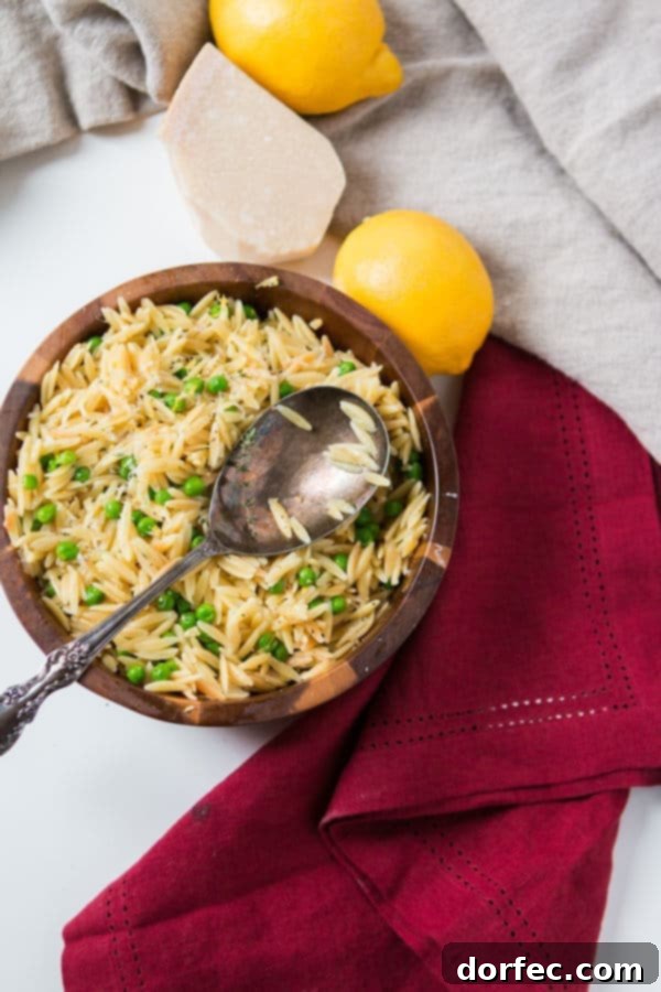 A gleaming silver spoon rests alongside a wooden bowl brimming with simple lemon orzo pasta, accompanied by fresh lemons, a wedge of Parmesan cheese, and a vibrant red cloth, capturing the essence of a fresh, quick meal.
