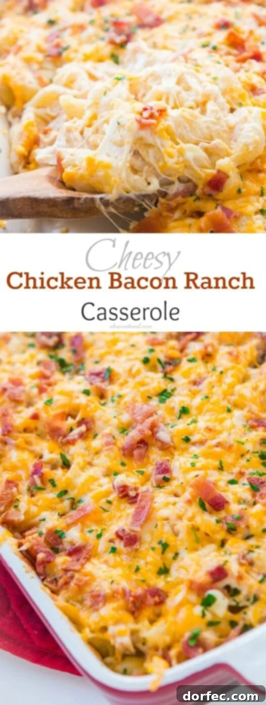 Delicious Cheesy Chicken Bacon Ranch Casserole, perfect for a quick and easy dinner. Hearty Cheesy Chicken Bacon Ranch Casserole, a family-friendly quick dinner idea with pasta and melted cheese.