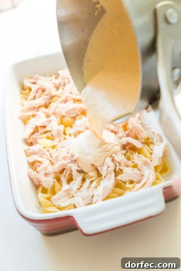 Loaded Creamy Chicken Bacon Ranch Casserole 4 Assembling layers of pasta, shredded chicken, ranch sauce, and cheese in a casserole dish for a Cheesy Chicken Bacon Ranch Casserole.