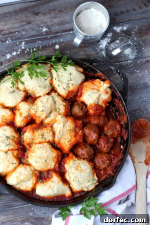 Blackened Fish Burger Sriracha Mayo 4 Comforting Dairy-Free Meatballs and Dumplings, a perfect family weeknight meal.