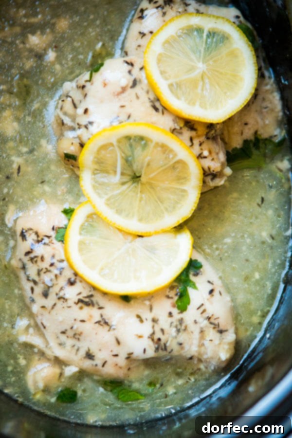 Fresh ingredients like lemon and garlic ready for a delicious slow cooker chicken meal.