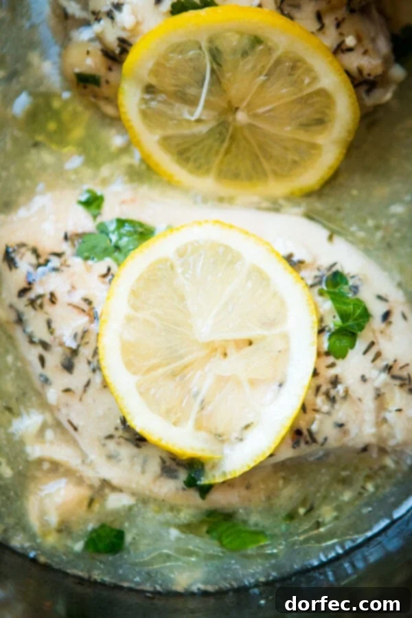 Delicious Simple Slow Cooker Lemon Butter Chicken served with fluffy white rice and green beans.