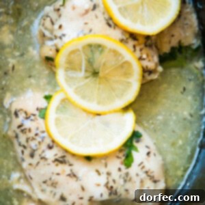 Simple Slow Cooker Lemon Butter Chicken recipe main image.