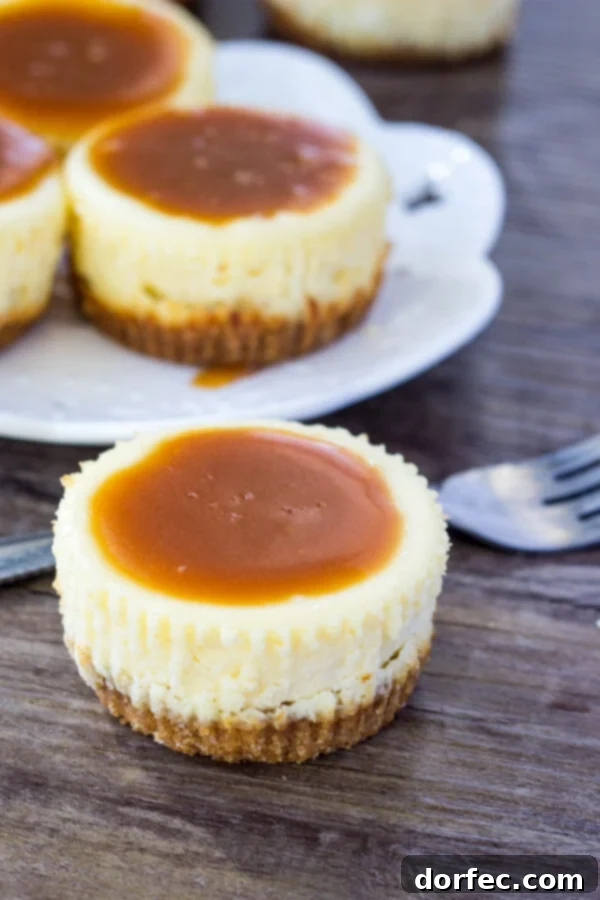 Mini Cheesecakes with Salted Caramel Sauce: A Perfect Dessert Delicious mini cheesecakes with homemade salted caramel sauce