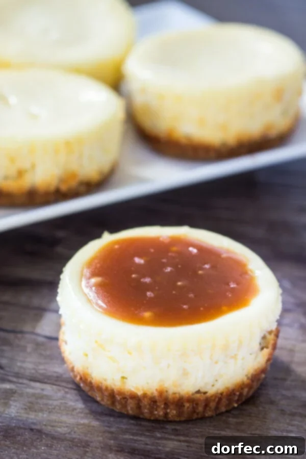 Easy Mini Cheesecake Bites with Salted Caramel Individual mini cheesecake bites adorned with rich salted caramel sauce