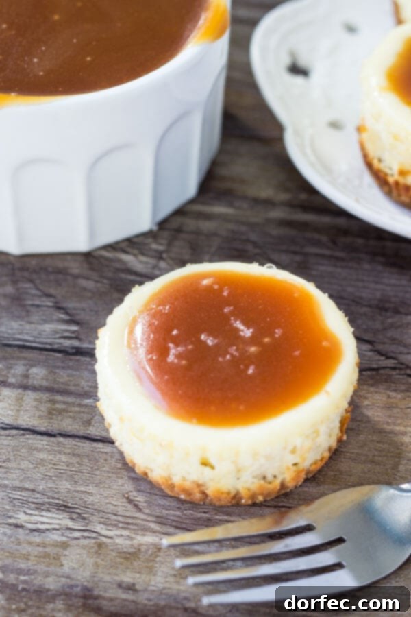Best Mini Cheesecakes with Caramel Topping Single individual cheesecake lavishly topped with rich salted caramel sauce