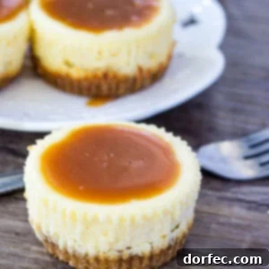 Mini Cheesecakes with Salted Caramel Sauce: A Perfect Dessert