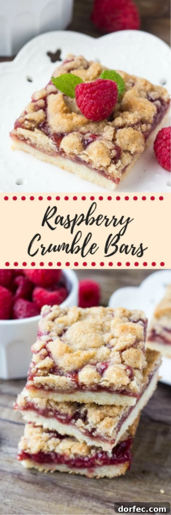 Beautifully presented raspberry crumble bars, showcasing their golden crust and juicy fruit filling, ready to be enjoyed as a delightful dessert.