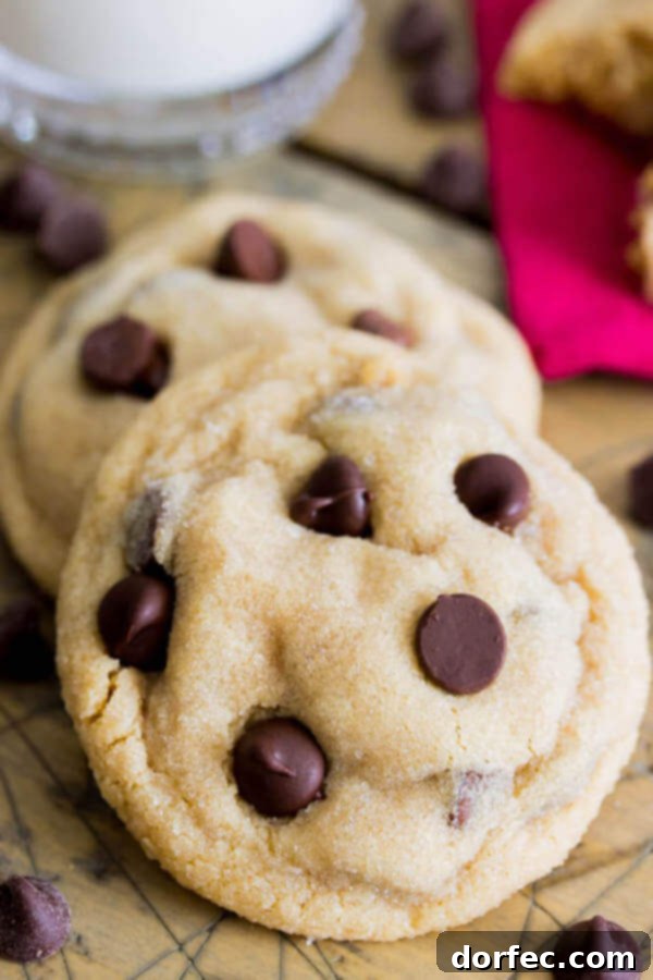 A plate of freshly baked peanut butter chocolate chip cookies with visible chocolate chips, a classic and comforting dessert