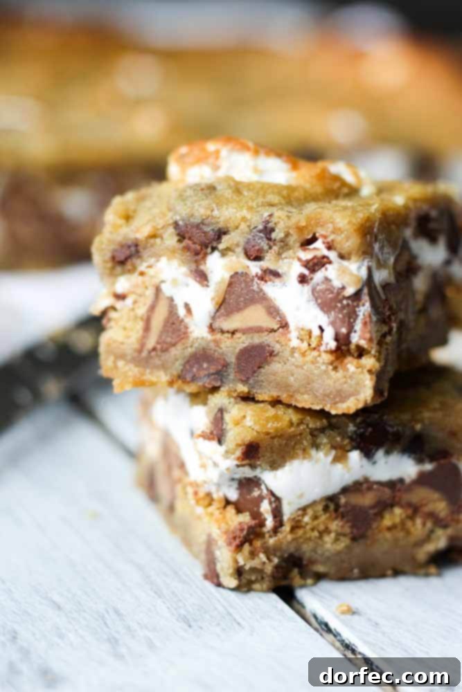 Ultimate S'mores Brownies 4 Delicious Chocolate Chip Cookie S'mores Bars, a perfect combination of cookie, chocolate, and marshmallow.