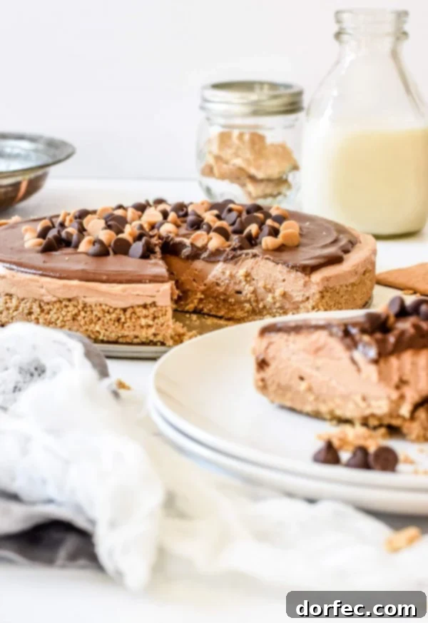 Easy No-Bake Peanut Butter Nutella Cheesecake is one of our favorite recipes for hosting friends and families and the perfect dessert for a BBQ! Easy No-Bake Peanut Butter Nutella Cheesecake is one of our favorite recipes for hosting friends and families and the perfect dessert for a BBQ!