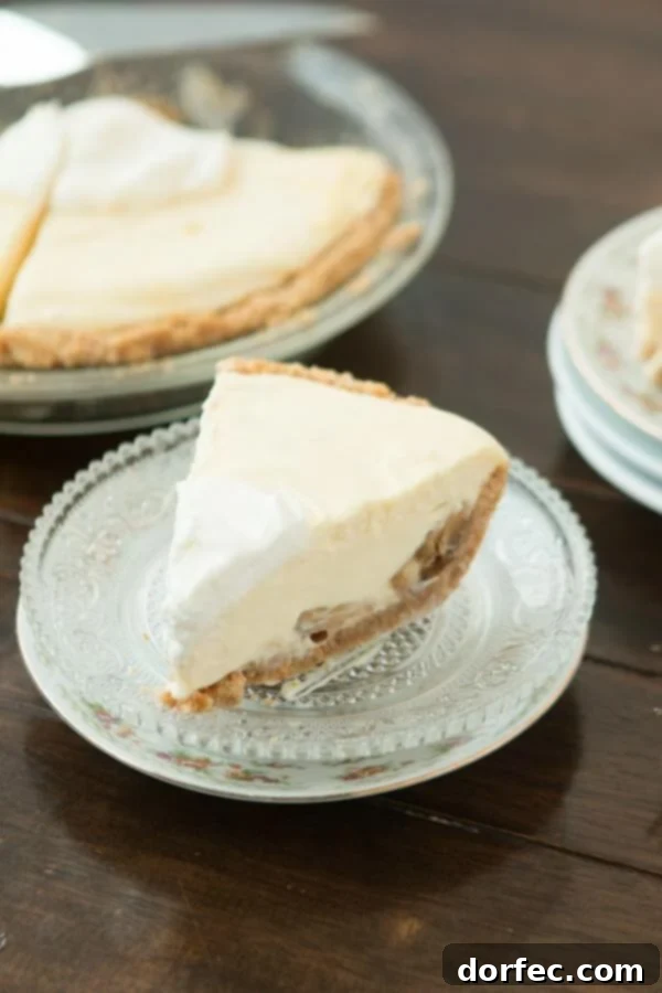 Dreamy No-Bake Peanut Butter Nutella Cheesecake 6 This is one of our favorite quick desserts, no bake banana cream pie with nilla wafer crust. ohsweetbasil.com