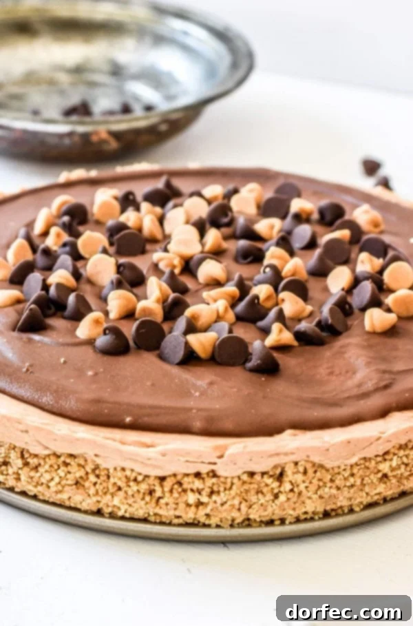 Easy No-Bake Peanut Butter Nutella Cheesecake is one of our favorite recipes for hosting friends and families and the perfect dessert for a BBQ! Easy No-Bake Peanut Butter Nutella Cheesecake is one of our favorite recipes for hosting friends and families and the perfect dessert for a BBQ!