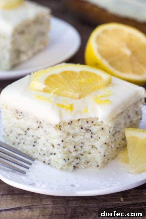 This Lemon Poppy Seed Cake with Cream Cheese Frosting is soft, moist & deliciously buttery with a fresh lemon flavor. Dotted with poppy seeds & topped with cream cheese frosting - it's the perfect dessert for lemon lovers! This Lemon Poppy Seed Cake with Cream Cheese Frosting is soft, moist & deliciously buttery with a fresh lemon flavor. Dotted with poppy seeds & topped with cream cheese frosting - it's the perfect dessert for lemon lovers!