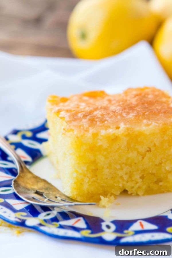 Zesty Lemon Poppy Seed Cake with Velvety Cream Cheese Frosting 8 quick and easy, moist lemon jello cake is pretty much our all time favorite dessert right now!