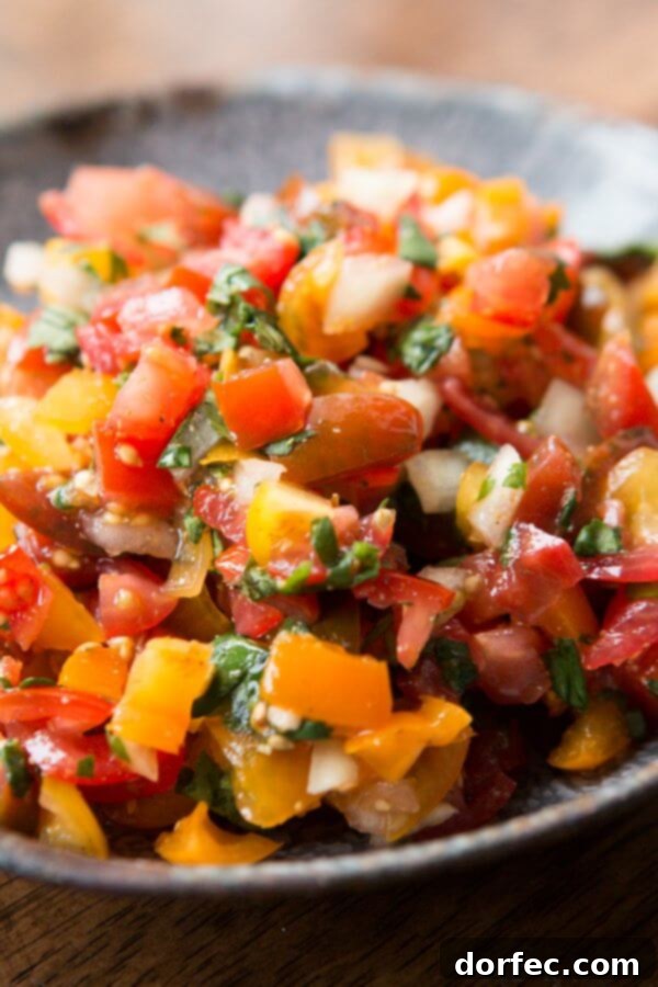 Garden Fresh Bruschetta Perfection 3 Our absolute favorite homemade salsa recipe ohsweetbasil.com