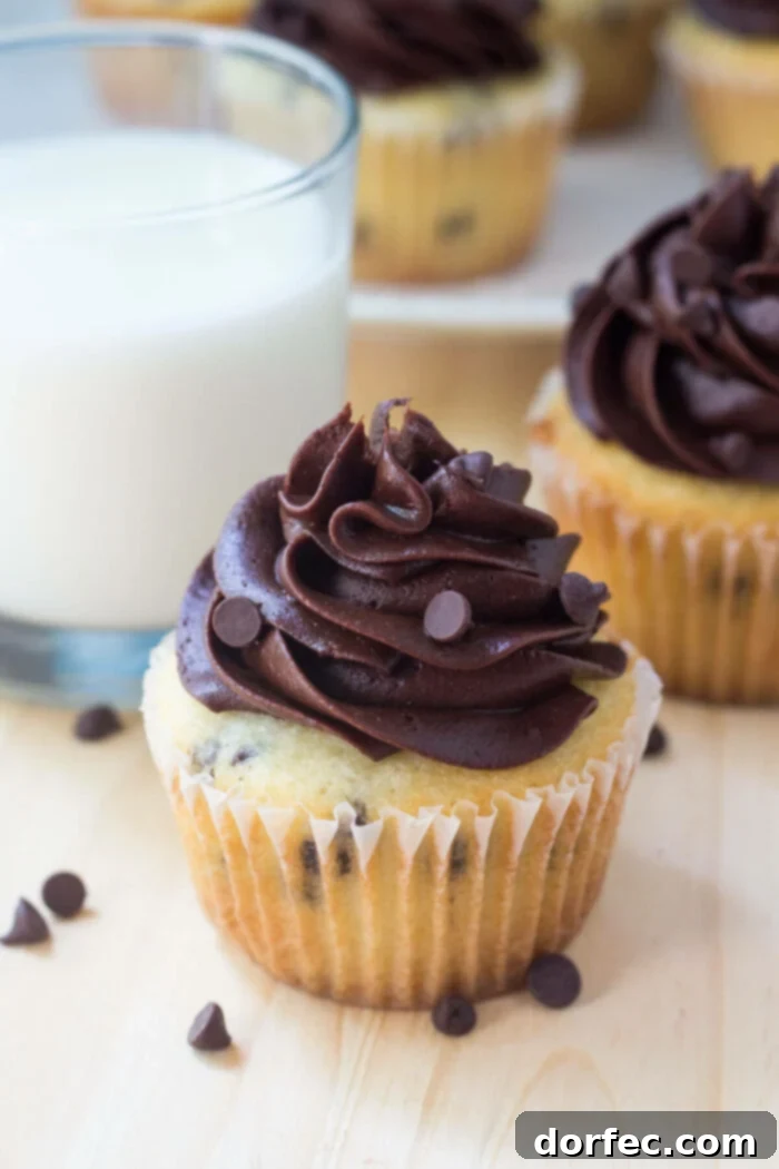 Fluffy vanilla chocolate chip cupcakes topped with creamy chocolate frosting, perfect for any celebration.
