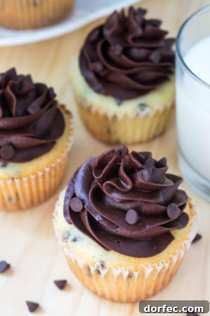 Close-up of a beautifully frosted vanilla chocolate chip cupcake.