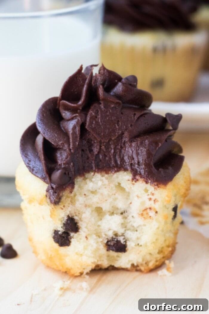 A tray of chocolate chip cupcakes with chocolate frosting ready to be enjoyed.