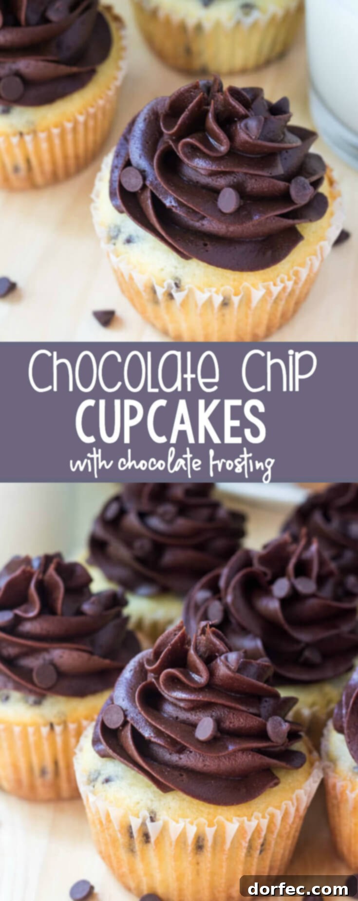 Large image of chocolate chip cupcakes with chocolate frosting, perfect for sharing.