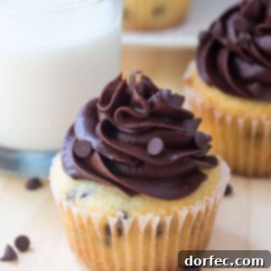 Detailed image of a frosted chocolate chip cupcake, highlighting the texture and topping.