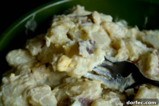 Close-up of crispy bacon bits for potato salad