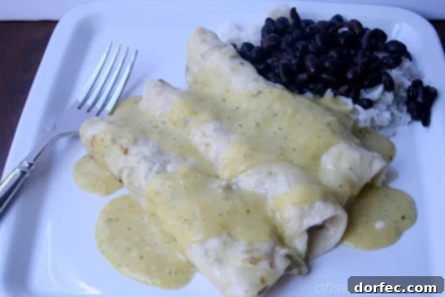 Carne Asada Enchiladas with Verde Sauce